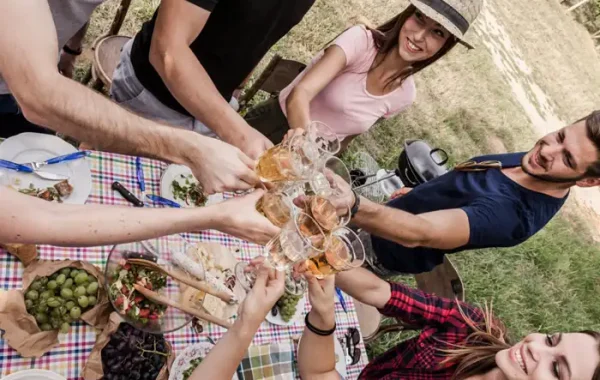 Abbildung: Eine Gruppe von Freunden, die beim Picknick mit Gläsern anstoßen