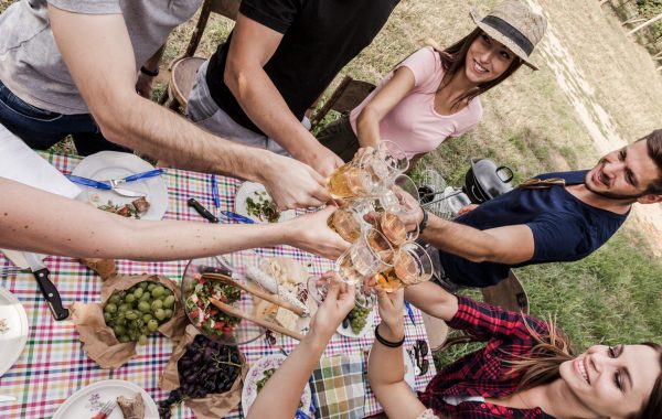 Group,Of,Friends,Toasting,With,Rose,Wine,While,Having,Picnic